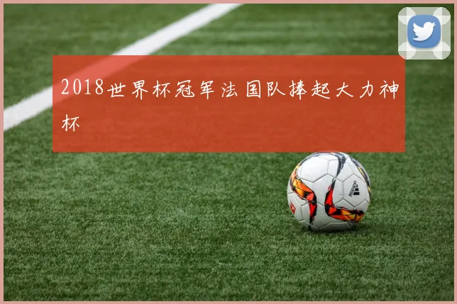 2018世界杯冠军法国队捧起大力神杯