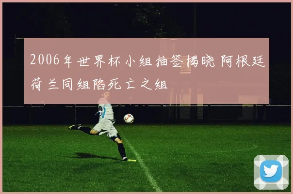 2006年世界杯小组抽签揭晓 阿根廷荷兰同组陷死亡之组