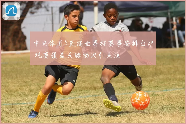 中央体育5直播世界杯赛事安排出炉 观赛覆盖关键场次引关注