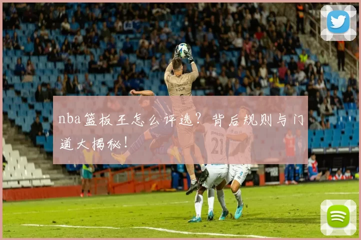 nba篮板王怎么评选？背后规则与门道大揭秘！